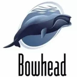 Bowhead